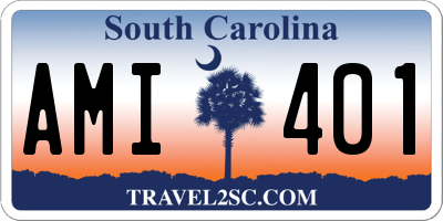 SC license plate AMI401