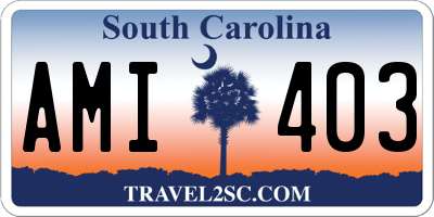 SC license plate AMI403