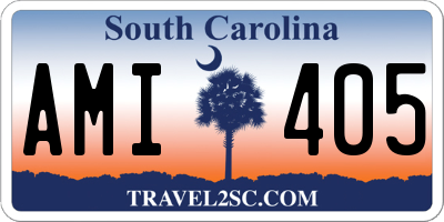 SC license plate AMI405