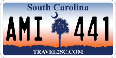 SC license plate AMI441