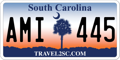 SC license plate AMI445