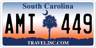 SC license plate AMI449