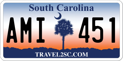 SC license plate AMI451