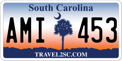 SC license plate AMI453