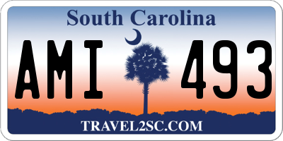 SC license plate AMI493