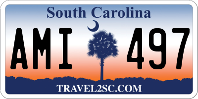 SC license plate AMI497