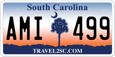 SC license plate AMI499