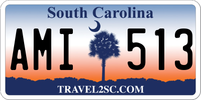 SC license plate AMI513
