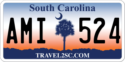 SC license plate AMI524