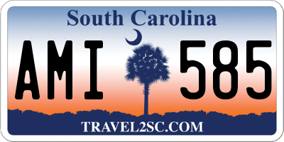 SC license plate AMI585