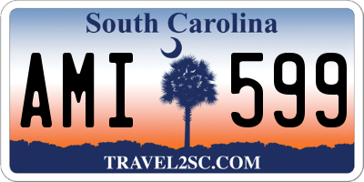 SC license plate AMI599