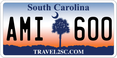SC license plate AMI600