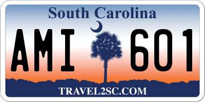 SC license plate AMI601