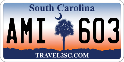 SC license plate AMI603