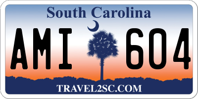 SC license plate AMI604
