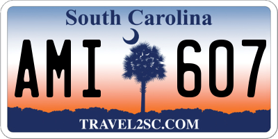 SC license plate AMI607