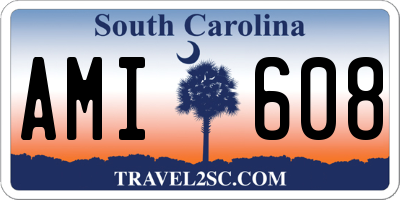 SC license plate AMI608