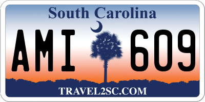 SC license plate AMI609