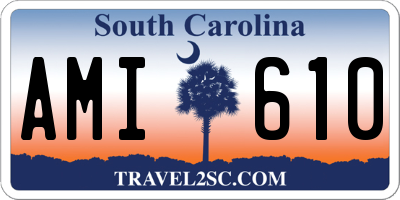 SC license plate AMI610