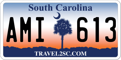 SC license plate AMI613