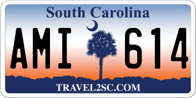 SC license plate AMI614