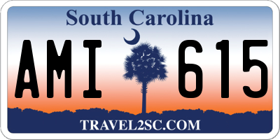 SC license plate AMI615
