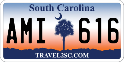 SC license plate AMI616