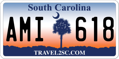 SC license plate AMI618