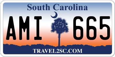 SC license plate AMI665