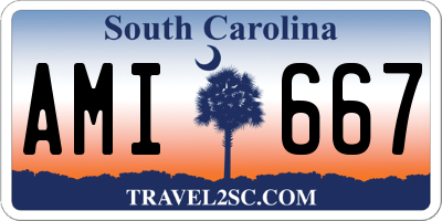 SC license plate AMI667