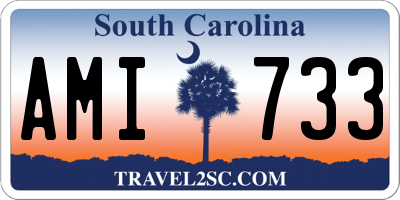 SC license plate AMI733