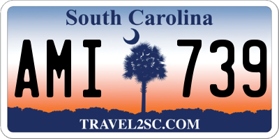 SC license plate AMI739