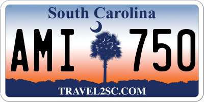 SC license plate AMI750