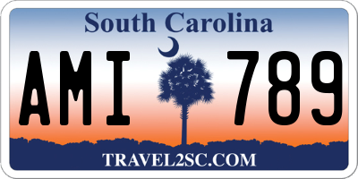 SC license plate AMI789