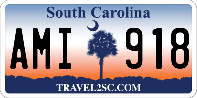 SC license plate AMI918