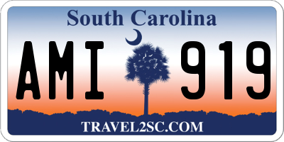SC license plate AMI919