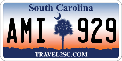 SC license plate AMI929