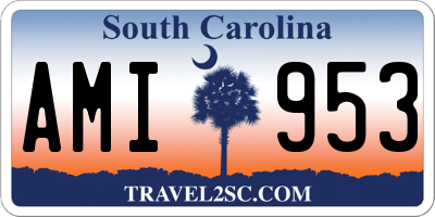 SC license plate AMI953