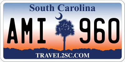 SC license plate AMI960