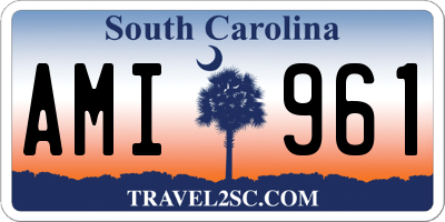SC license plate AMI961