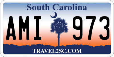 SC license plate AMI973