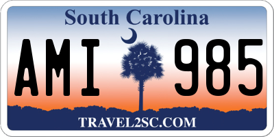 SC license plate AMI985