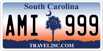 SC license plate AMI999