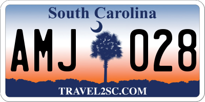 SC license plate AMJ028