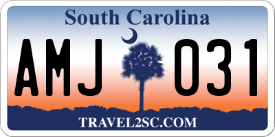 SC license plate AMJ031