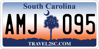 SC license plate AMJ095