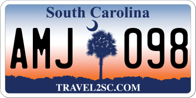SC license plate AMJ098