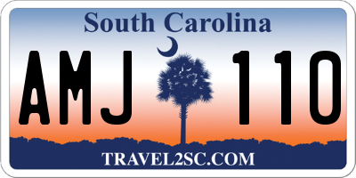 SC license plate AMJ110