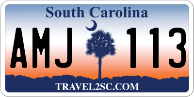 SC license plate AMJ113