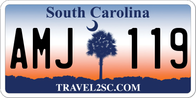 SC license plate AMJ119